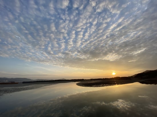 和歌の浦干潟