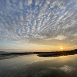 和歌の浦干潟