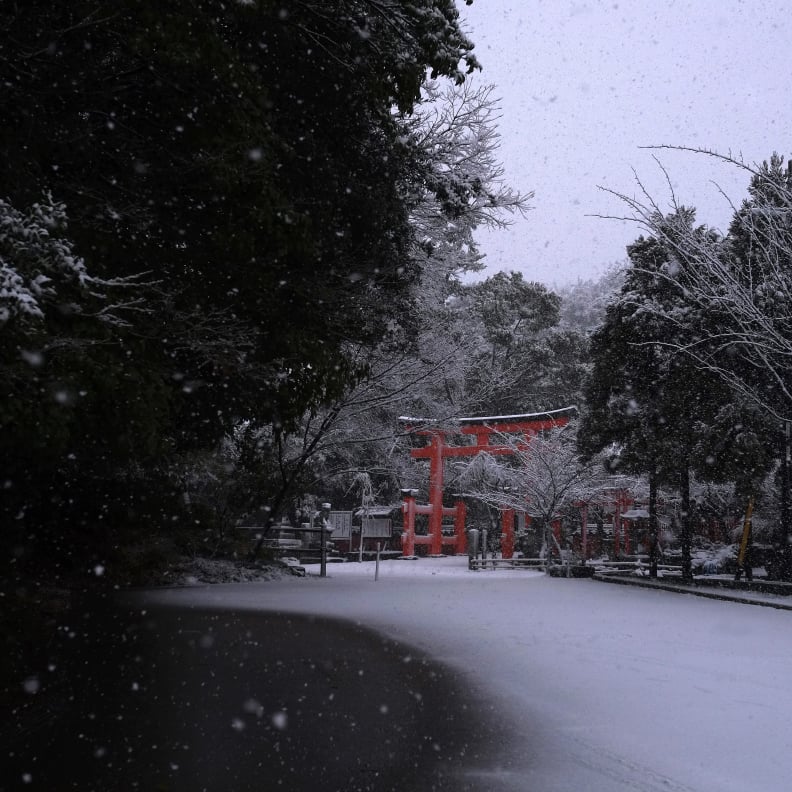 玉津島神社（雪）